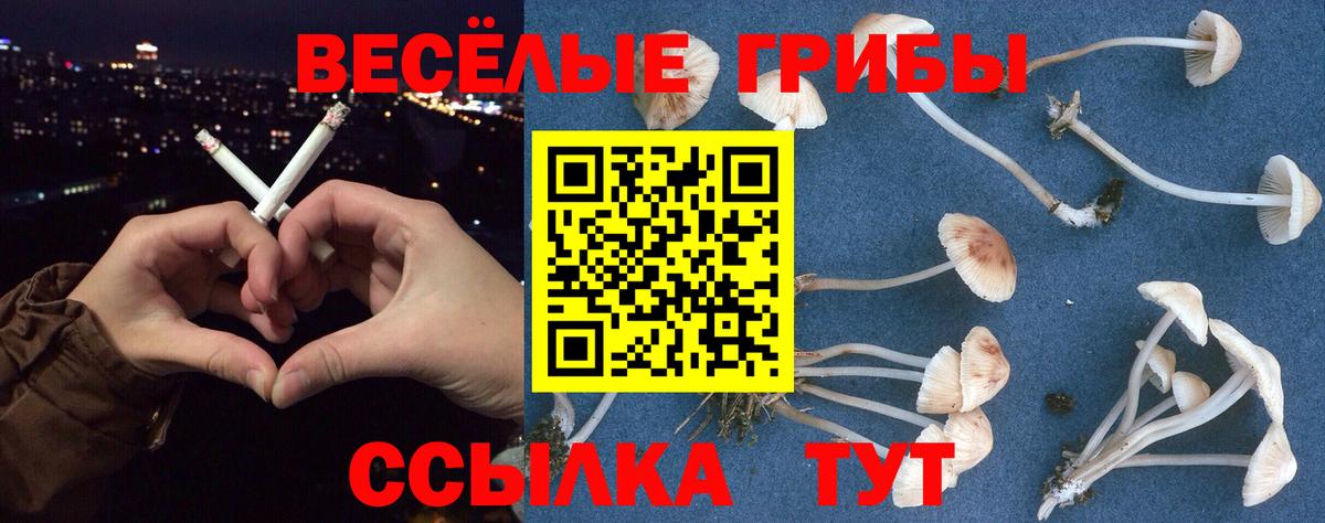 магазин продажи наркотиков  Галлюциногенные грибы ЛСД  Вход с VPN  Псилоцибиновые грибы мицелий  Барнаул 